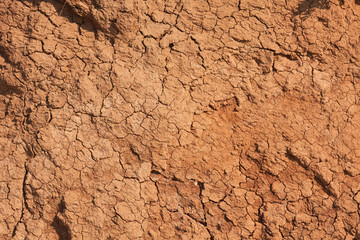 Withered chapped clay