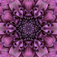 Papier Peint photo autocollant Dahlia Purple Concentric Flower Center Mandala Kaleidoscopic design