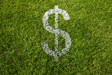dollarzeichen auf rasen