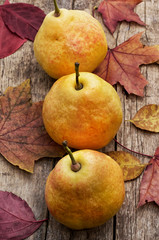 pear from the new harvest