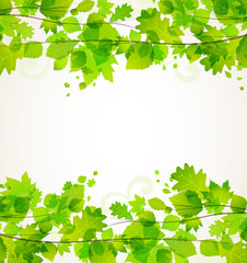 Obraz premium leaves