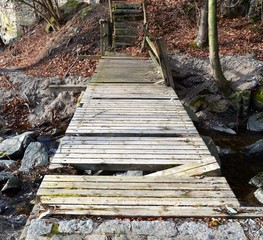 Fototapeta premium Alte brüchige Waldbrücke