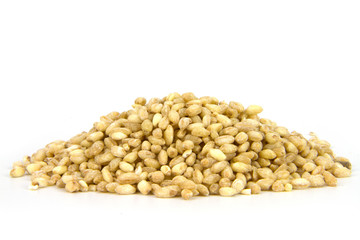 Wheat