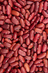 red kidney bean