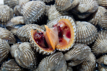 Fresh Shellfish Blood Cockles