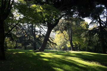 Parque del Capricho