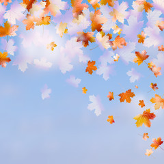 Autumn leaves with the blue sky. EPS 10