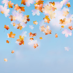 Fototapeta na wymiar Autumn sky leaf. EPS 10