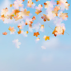 Fototapeta na wymiar Autumn leaves on the sky. EPS 10