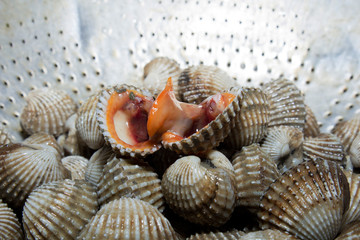 Fresh Shellfish Blood Cockles