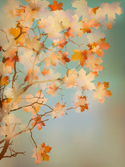 Fototapeta na wymiar Orange leafs on vintage colored blue sky. EPS 10
