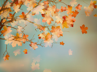 Fototapeta na wymiar Background with autumn maple leaves. EPS 10
