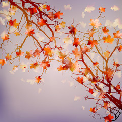 Fototapeta na wymiar Autumn abstract floral background. EPS 10