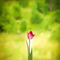 Eco Green Flower Template. EPS 10