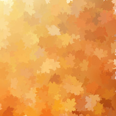 Autumn background template. EPS 10