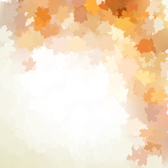 Autumn design background with colorful. EPS 10