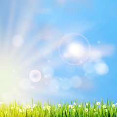 Fototapeta na wymiar Summer grass in sun light. EPS 10