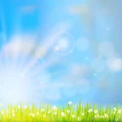 Fototapeta na wymiar Summer grass in sun light. EPS 10
