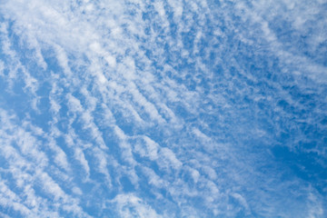 Clouds on the blue sky in cloudy days
