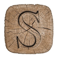 Wooden alphabet block, letter S