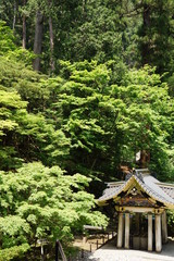 新緑鮮やかな大猷院