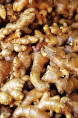 close up many ginger in thailand