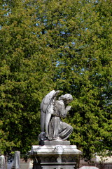 Gorgeous statue of stone angel in cemetery