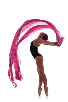 woman ballet dancer silhouette