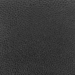 Fototapeta premium Black leather