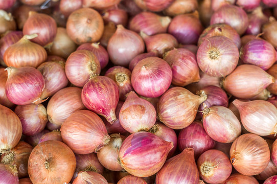 Shallot, asia red onion in the market.