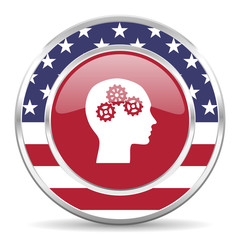 head american icon, usa flag