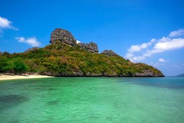 Obraz premium Tropical white sand beach with trees.