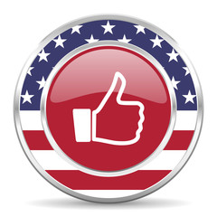 like american icon, usa flag