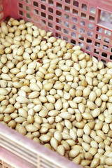 pistachio in plastic basket in thai market