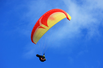 paraglider