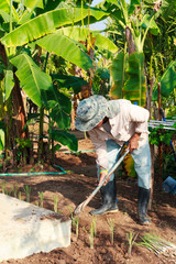 Rural farmer