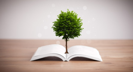 Tree growing from an open book