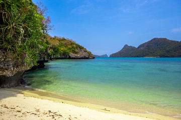 Fototapeta na wymiar Tropical white sand beach with trees.