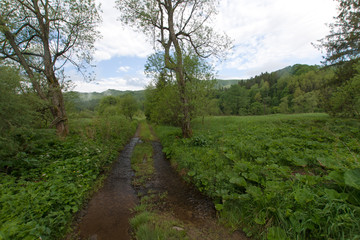 Bieszczadzkie łąki © Piotr Szpakowski