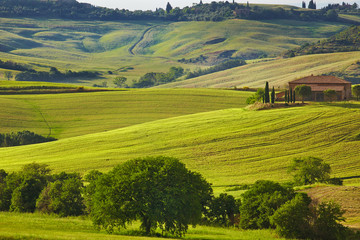 Tuscany Hills and Countryside in SIenna region, Italy