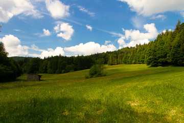 Hütte auf Wiese