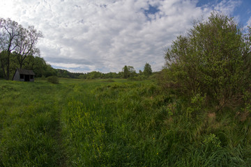 Bieszczadzkie łąki © Piotr Szpakowski