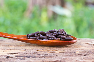 Coffee beans in wooden spoon on wood background