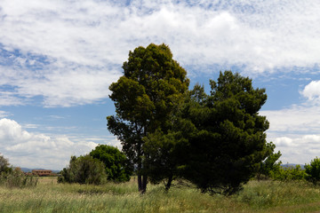 Landschaft in der Toskana