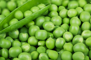 Green peas background