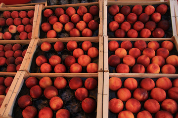 Nectarines at a market