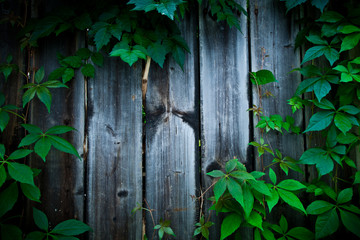 holz hintergrund 