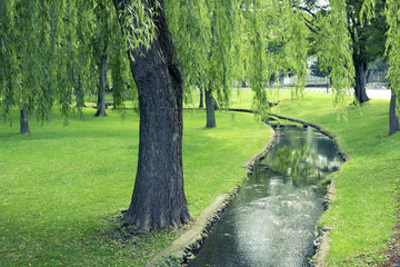 summer park