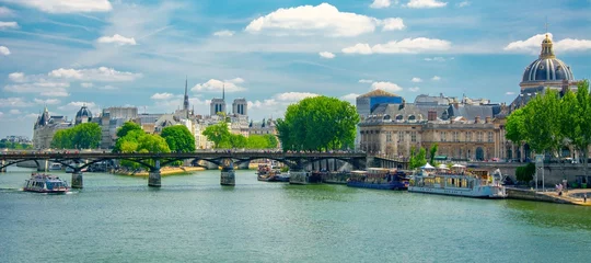 Foto auf Leinwand Ufer der Seine in Paris © Alexi Tauzin
