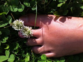 fuss im klee